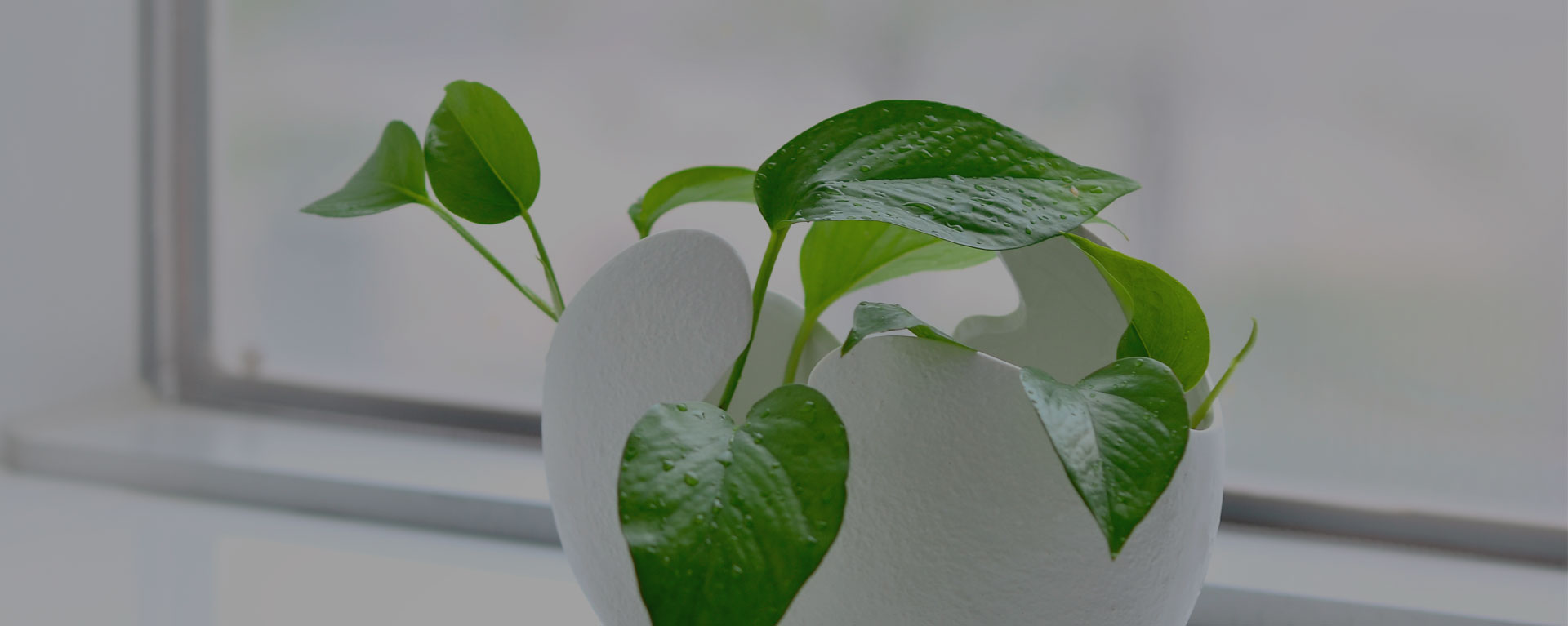 嘉兴威勒流体科技有限公司